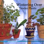 My Wintering Over Experiments: Year 2