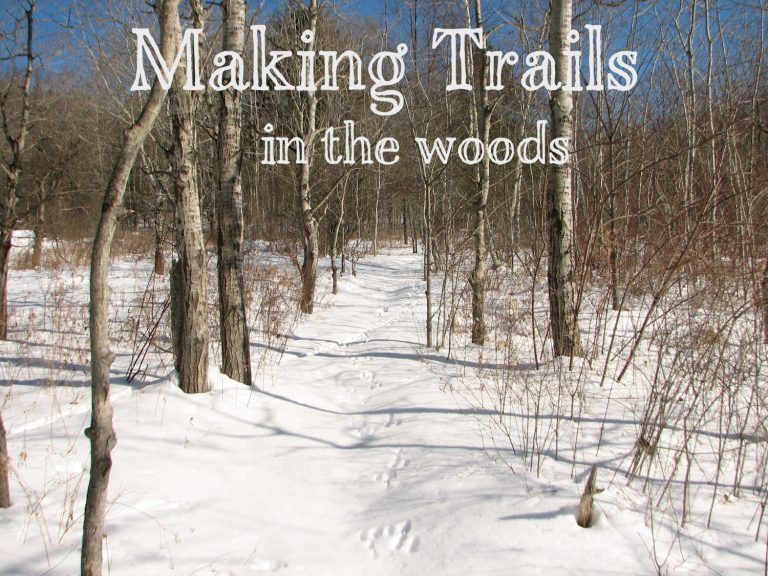 How to Create and Maintain Trails in Your Woods