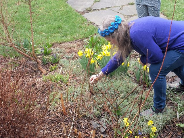 finding a clue in the birthday treasure hunt