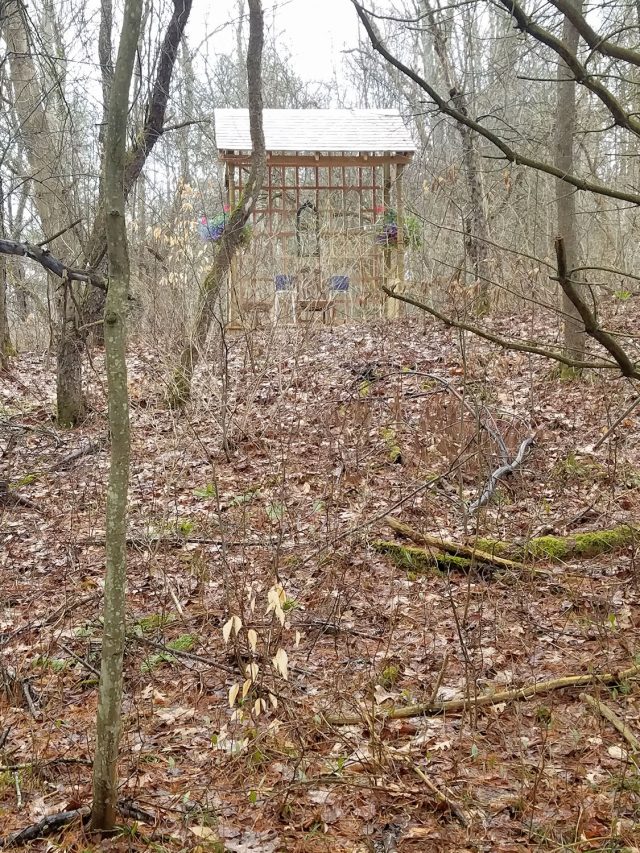 first view of garden shelter from the birthday treasure hunt