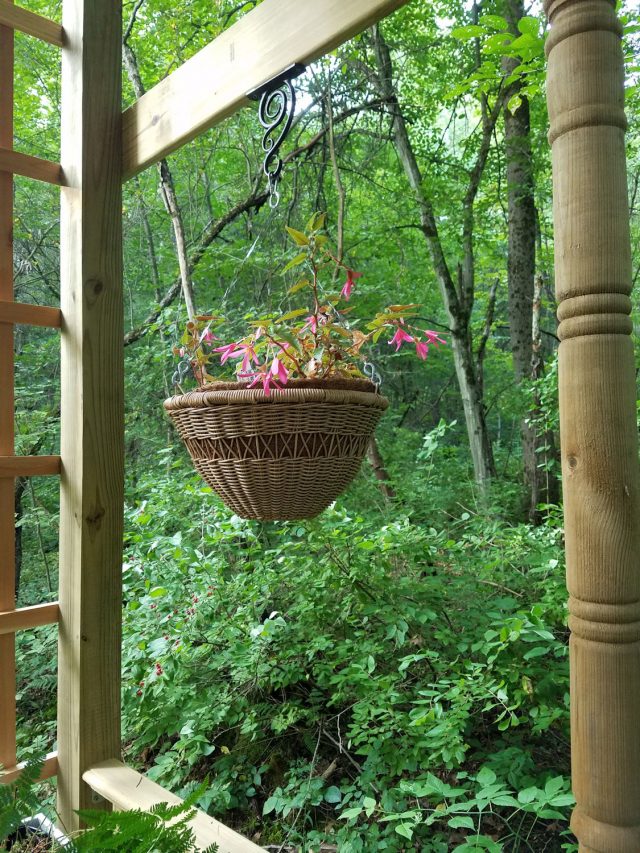 wicker hanging baskets in the garden shelter